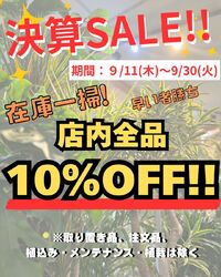 決算セール開催します