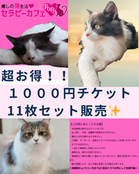 ✨【超特別セット】1000円チケット11枚綴り販売！✨
