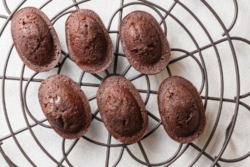 12月より「ショコラフィナンシェ」が新登場！