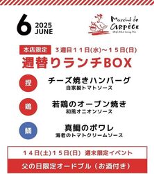 【6月11日～15日】週替わりランチBOX