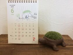 6月のお休み