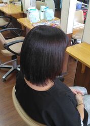 この春は当店でカット♪　◇小さなお子様からシニアの皆様まで誰でもお気軽に◇