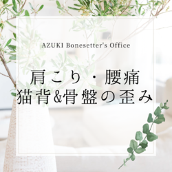 猫背&骨盤矯正でコリや不調をリセット！