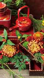 ご懐妊中も施術いたしております