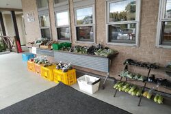 新鮮！安全！お安い！農家のお野菜販売しています♪