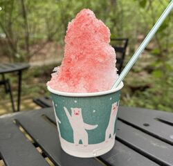 涼しげな木漏れ日の中で「かき氷」はいかが？