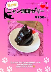 １日２食限定のニャン珈琲ゼリー