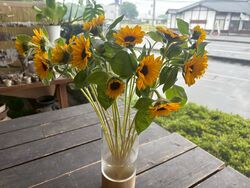 季節のお花♪