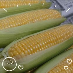 とうもろこしのかき揚げ