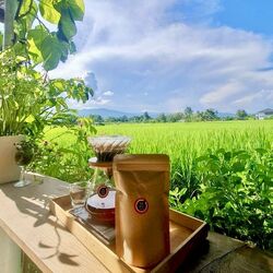 TAWA COFFEE予約はこちら
