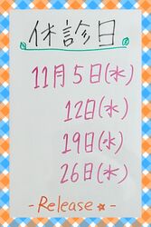 11月の休診日のお知らせ
