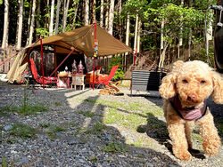 3/27(金)～29(日)50％OFFのファン感謝祭開催！