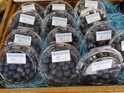 ブルーベリー入荷情報！！！