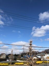 【初診料６６％引き】年度末キャンペーンのお知らせ