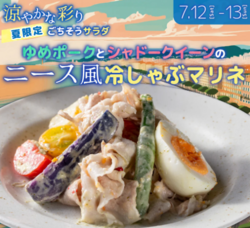 【夏限定！お試し価格】暑い夏にぴったり！『ゆめポークとシャドークイーンのニース風冷しゃぶマリネ』