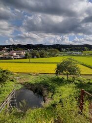 緑あふれる茶房の様子です。