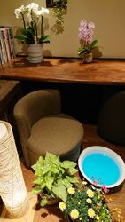 7月の足湯は『清涼炭酸湯』爽やかミントの香り