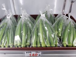 新鮮なオクラ入荷してます！