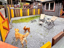 犬連れ＆お子さま連れの方必見☆割引特典あり！