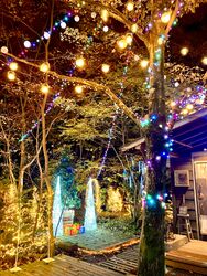 森の中の幻想的なイルミネーションは年明け1/3まで！