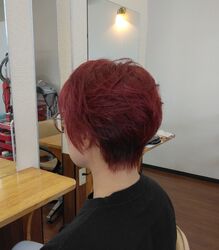 栃ナビクーポン使ってお得にカラー＆カット♪　◆白髪染めにオシャレ染めどちらもおまかせ◆