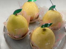 まるごと洋梨タルト