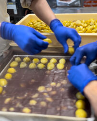 一年の感謝を贅沢に包む、極上和栗の栗蒸し羊羹を年末に贈ろう。