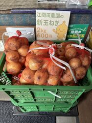 【期間限定】新玉ねぎも販売しています♪