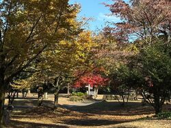 秋色で楽しむ初めてキャンプ⁂✦☆