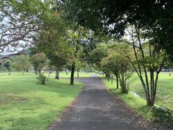 出会いの森を紹介します！