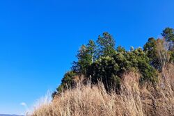 【見積もり無料】お手頃価格で対応します。