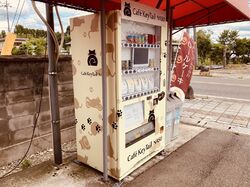 KeyTailは年中無休？！