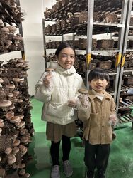 お子様、大人の方みんなで楽しめる体験