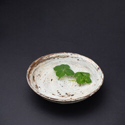 「鶏が鶏らしく生きられること」