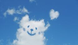 土・日・祝日も夜8時まで営業中