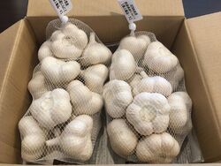 青森県産にんにく『福地ホワイト六片種』