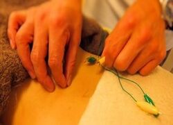 知識と技術に誇りを持って