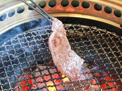 地元食材をたらふく食べよう！