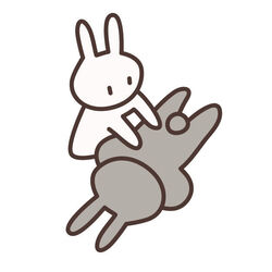 リンパケアは元気とキレイの秘訣です！