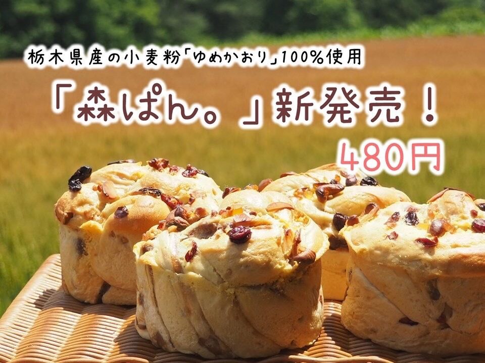 パン工房 森ぱん 益子町のパン 自然 健康食品 テイクアウト 栃ナビ パン工房 森ぱん 益子町のパン 自然 健康食品 テイクアウト 栃ナビ