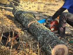 資格保持者が対応いたします。