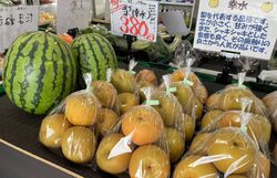 仕入れる野菜の選定へのこだわり