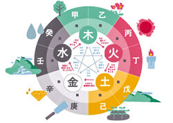 使用する占術