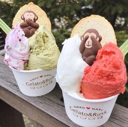 那須の牛乳使用　　　　絶品濃厚ジェラート