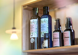 日々のケアで叶える、うるおいとツヤ髪