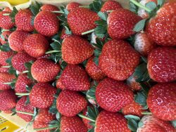 インスタグラムのフォロワー特典が充実！