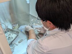 在宅医療・無菌調剤