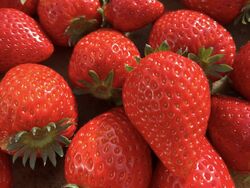 当農園で採れたいちごを使用しています