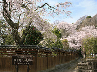 伊王野城山公園