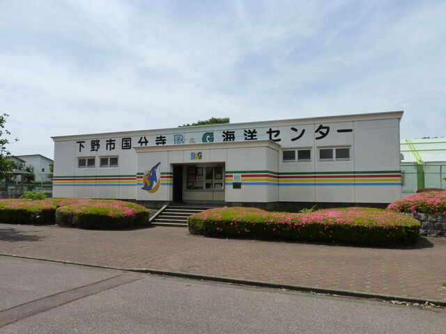 下野市国分寺B&G海洋センタープール